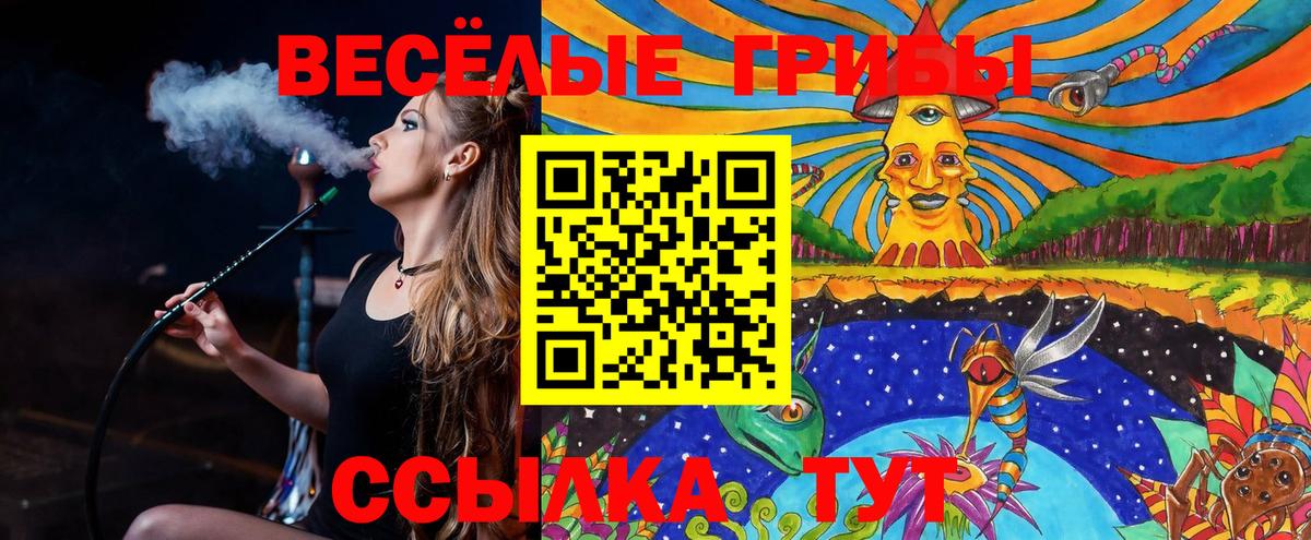 Нефтекумск  Галлюциногенные грибы MAGIC MUSHROOMS  купить наркотики цена  Вход с VPN 